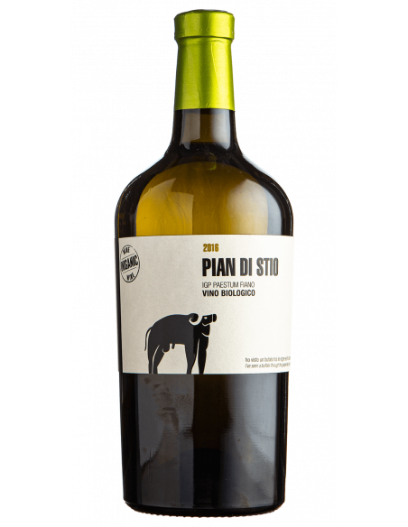 Pian di Stio Fiano Bio IGP San Salvatore 2019